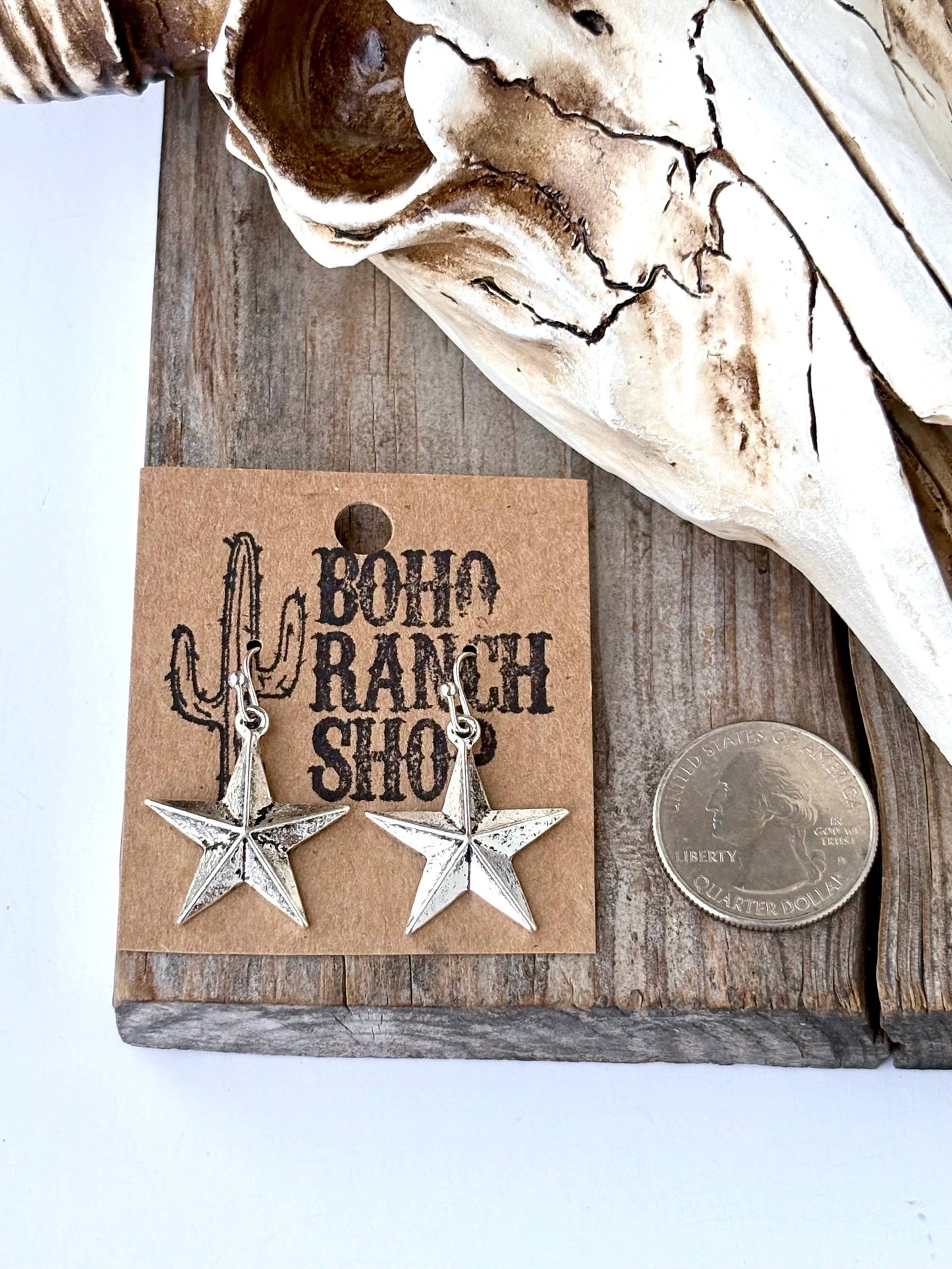 Western Style Dangle Earrings