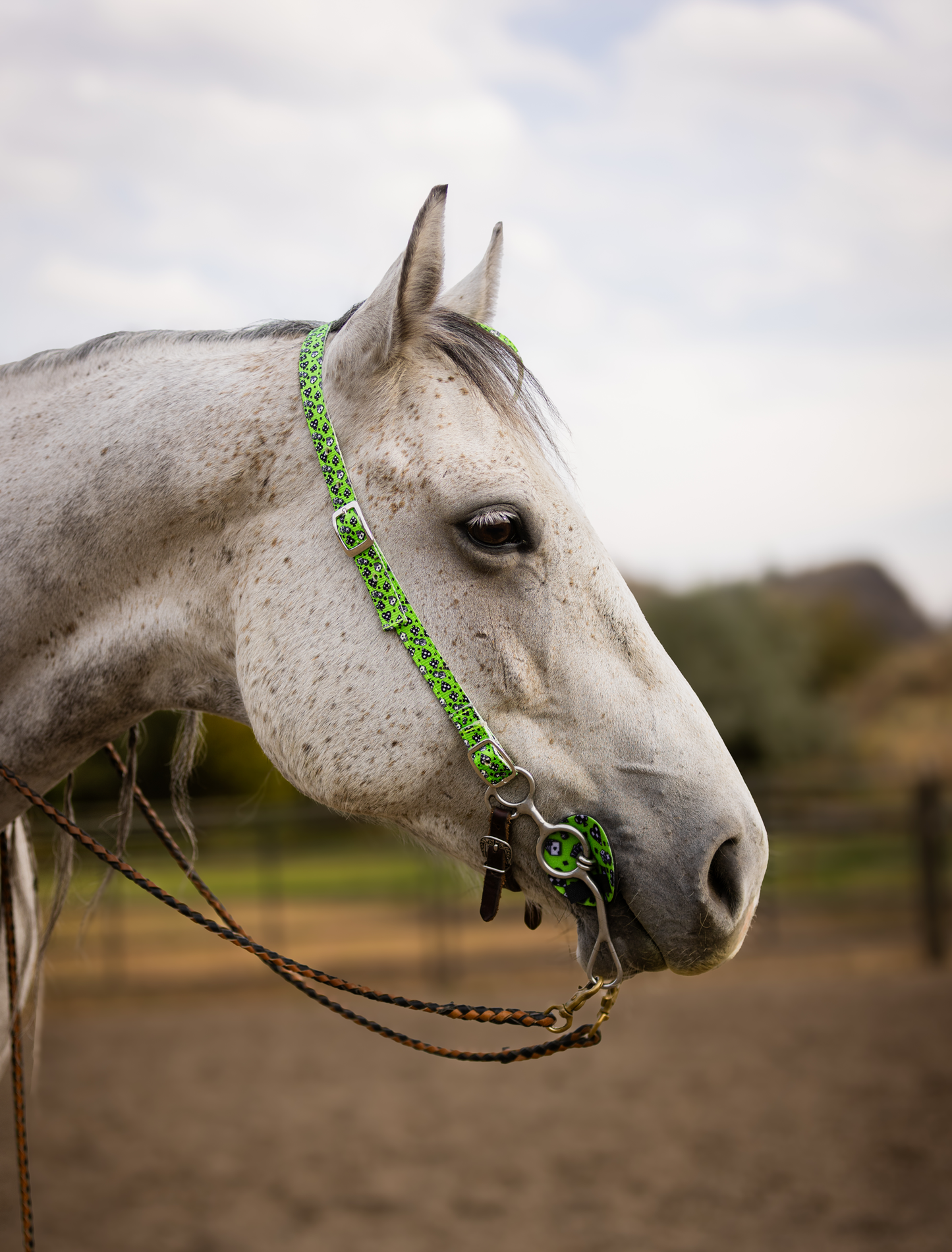 Nylon One Ear Headstall