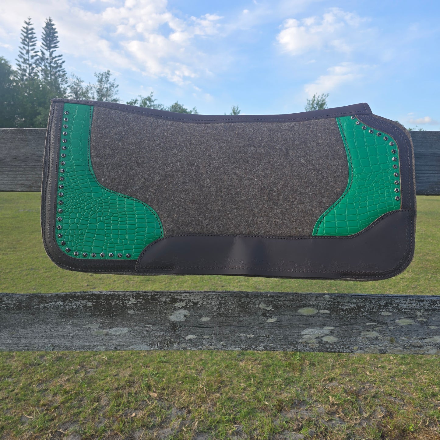 Alligator saddle pad