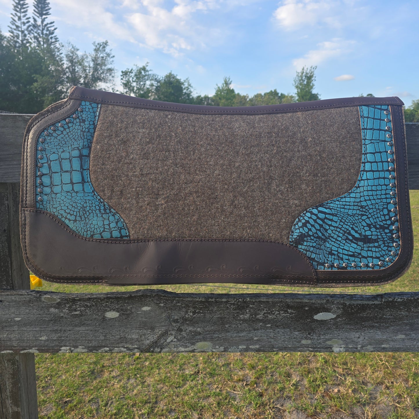 Alligator saddle pad