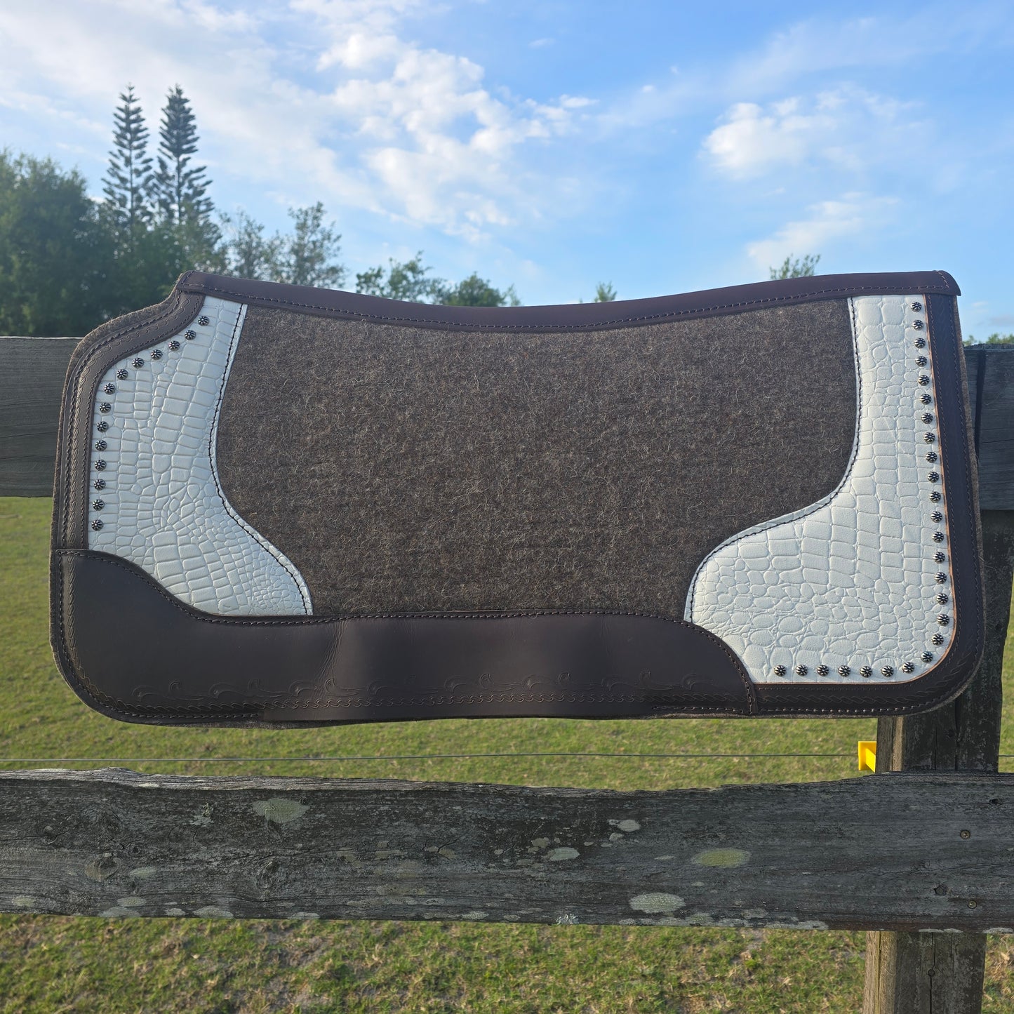 Alligator saddle pad