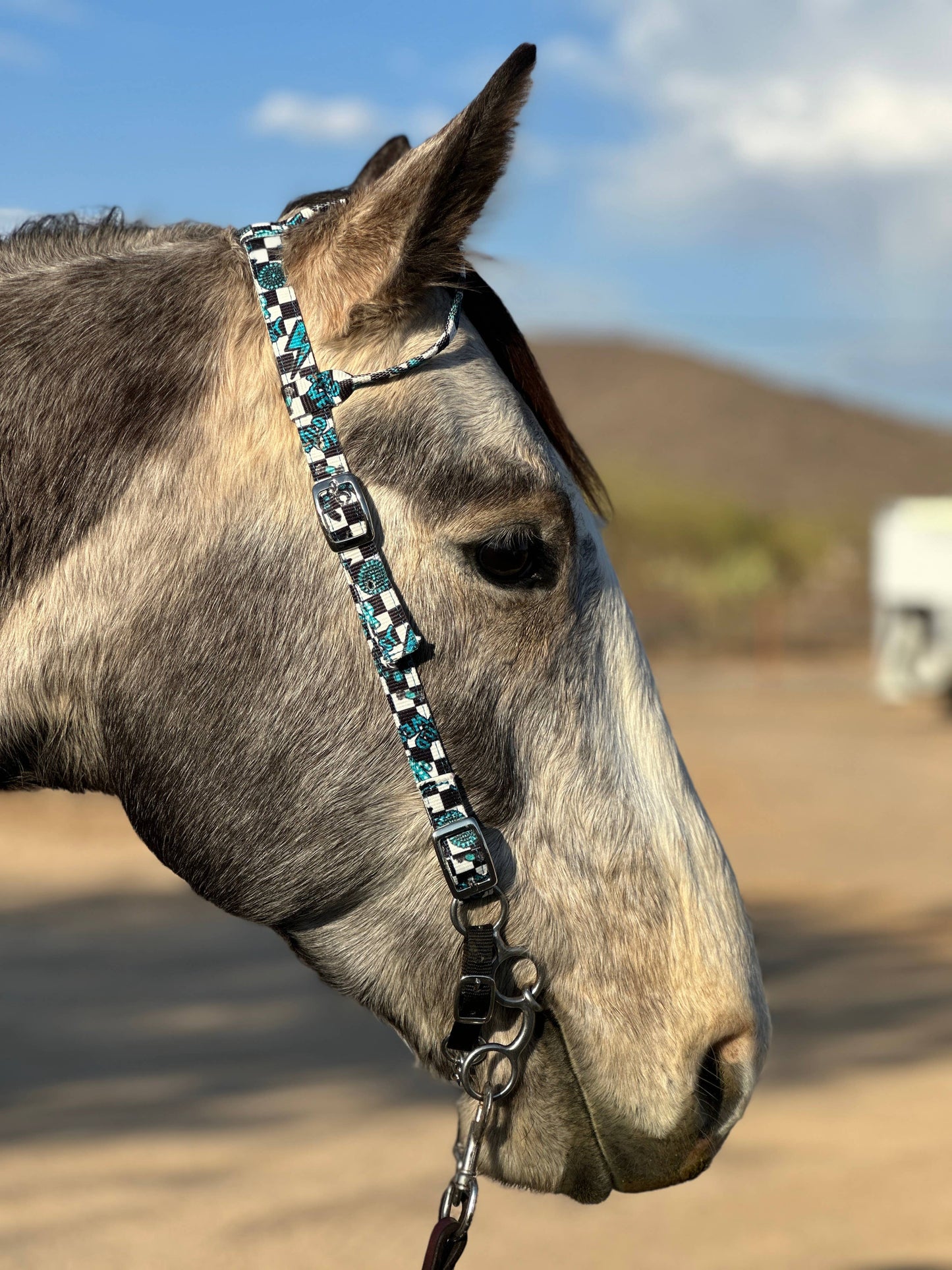 Nylon One Ear Headstall