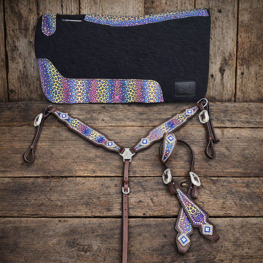 Rainbow Cheetah matching set